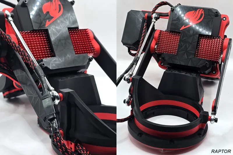 Raptor